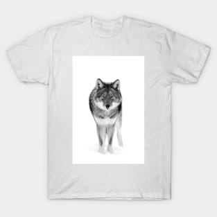 Coyote in Black and White T-Shirt